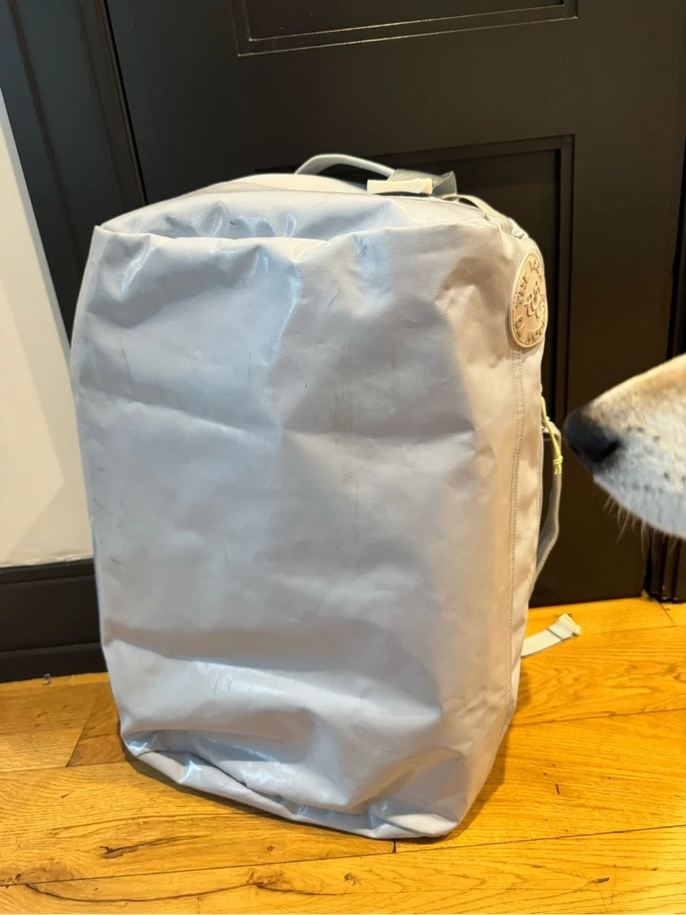 Baboon to the Moon Light blue Travel backpack 40L